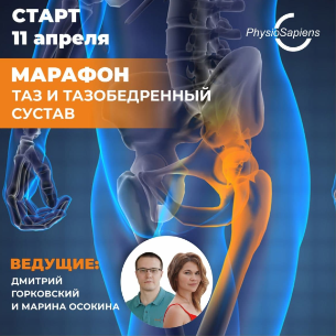 Марафон «Таз и тазобедренный сустав»